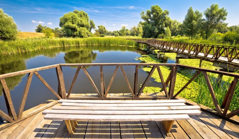 Baranja: Místo pro relaxaci a zábavu v příjemném klimatu